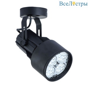 Спот Arte Lamp A6252AP-1BK