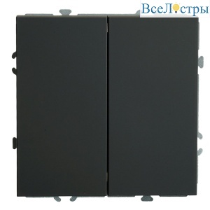Переключатель 2-клавишный Stekker Эмили RSW10-5107-05ZK 50249