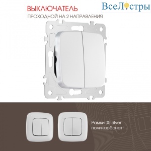 Выключатель двухклавишный проходной Arte Milano 205.32-2.silver