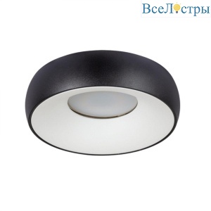 Потолочный светильник Arte Lamp Heze A6665PL-1BK