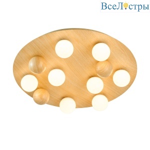 Потолочный светильник F-Promo Swarm 4694-8C