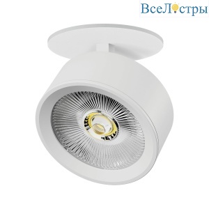 Встраиваемый светильникAlta Pro Lightstar A5646RS