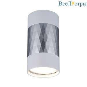 Потолочный светильник Elektrostandard Mizar DLN110 GU10 белый/серебро 4690389148705