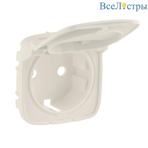 Лицевая панель Legrand Valena Allure розетки с/з с крышкой слоновая кость 754846