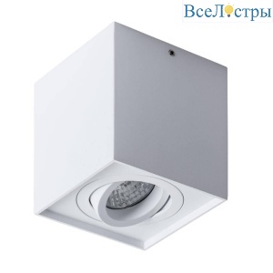 Накладной светильник Arte Lamp Factor A5544PL-1WH