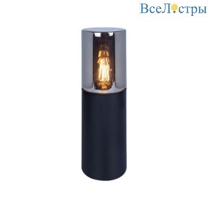 Уличный светильник Arte Lamp Wazn A6218FN-1BK