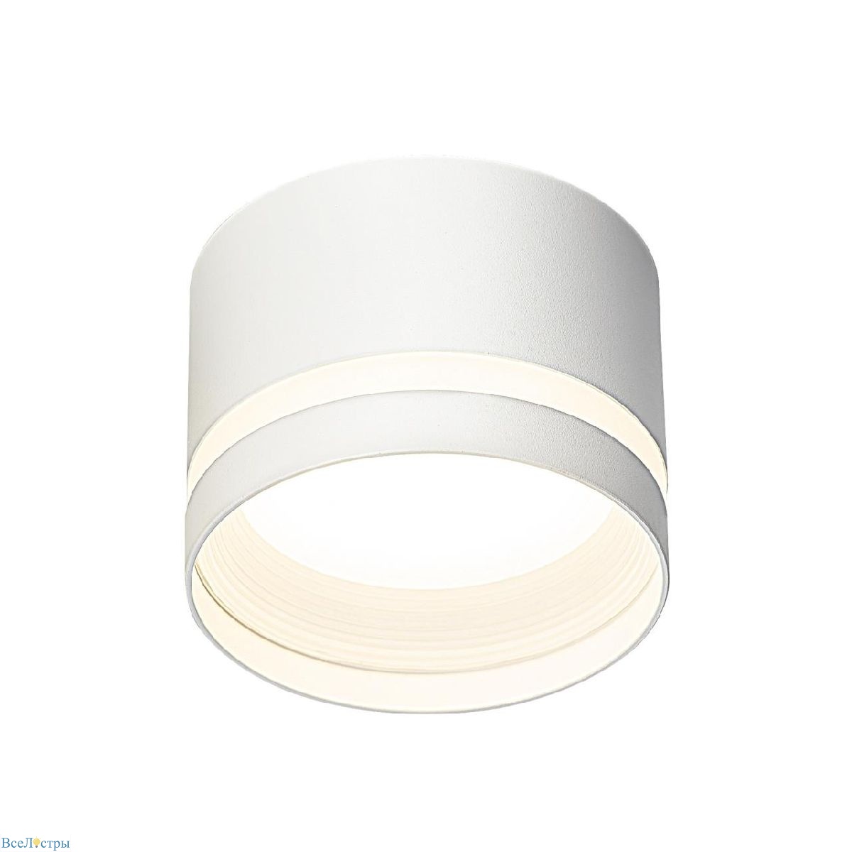 накладной светильник citilux hardy cl002c10