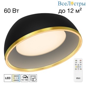 Потолочный светильник Citilux Floom CL736151