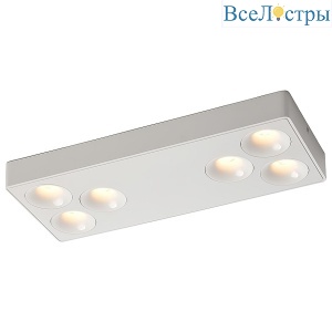 Потолочный светильник Wertmark Bellatrix WTB.O01.007.30.36
