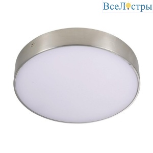 Потолочный светильник Aployt Evon APL.0114.19.24