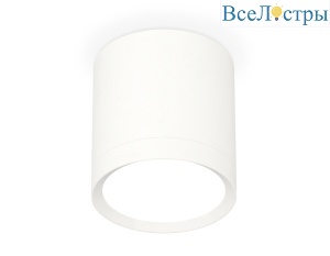 Потолочный светильник Ambrella Light Techno Spot XS8141001 (C8141, N8112)