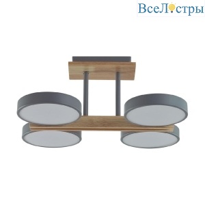 Потолочный светильник Lumion Plato 8031/72CL
