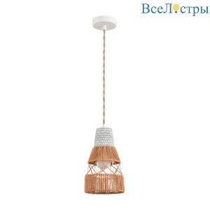 Подвесной светильник Lumion Eco Boho 8367/1B