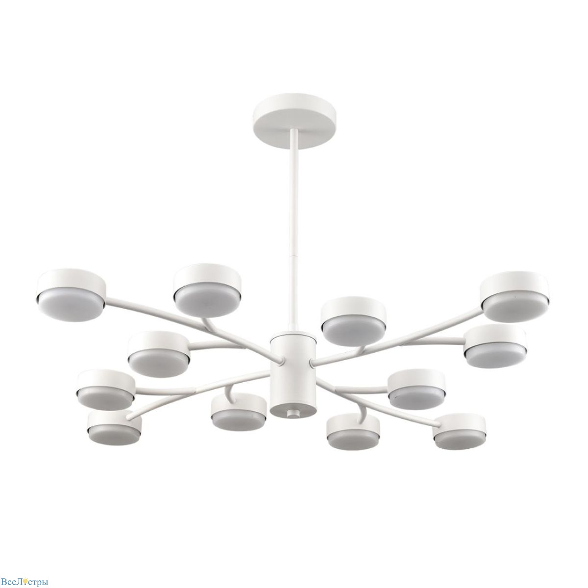 люстра на штанге lumion comfi torina 8265/12
