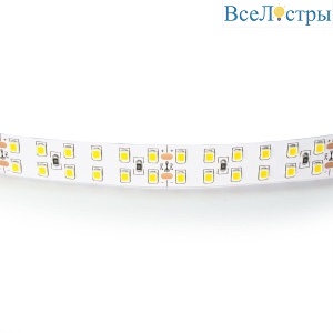 Светодиодная лента Lightstar 24W/m 240LED/m дневной белый 5M 421504