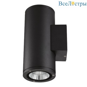 Уличный настенный светильник Uniel ULU-S22D-2x12W/6400K IP65 BLACK UL-00010848