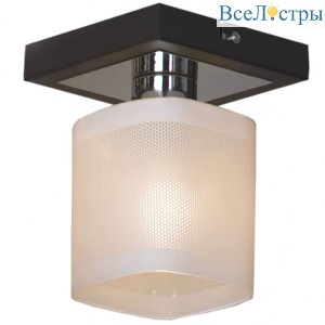 Потолочный светильник Lussole Costanzo GRLSL-9007-01