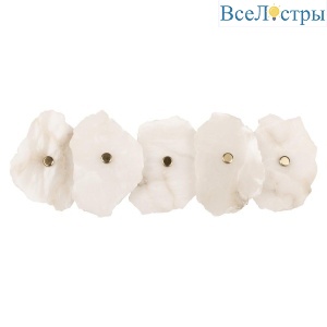 Настенный светодиодный светильник Loft IT Alicante 10248/5W