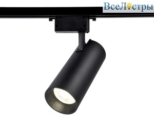 Трековый однофазный светильник Ambrella Light Track System GL5859