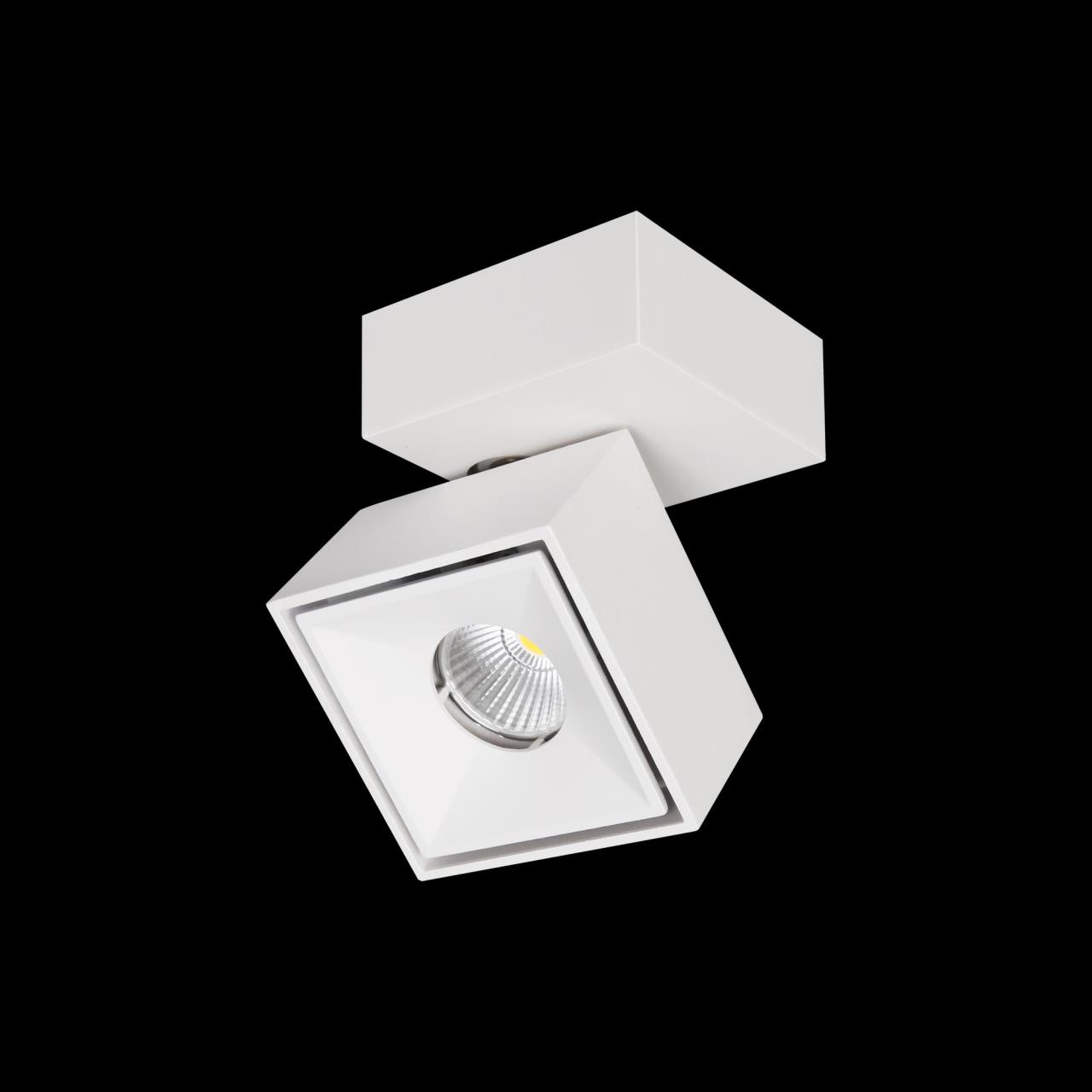 спот citilux cl558020n