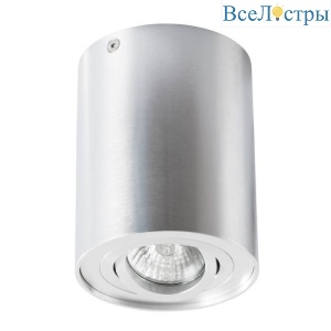 Потолочный светильник Arte Lamp A5644PL-1SI