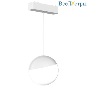 Трековый подвесной светильник Aployt Magnetic track 48 APL.0125.10.06