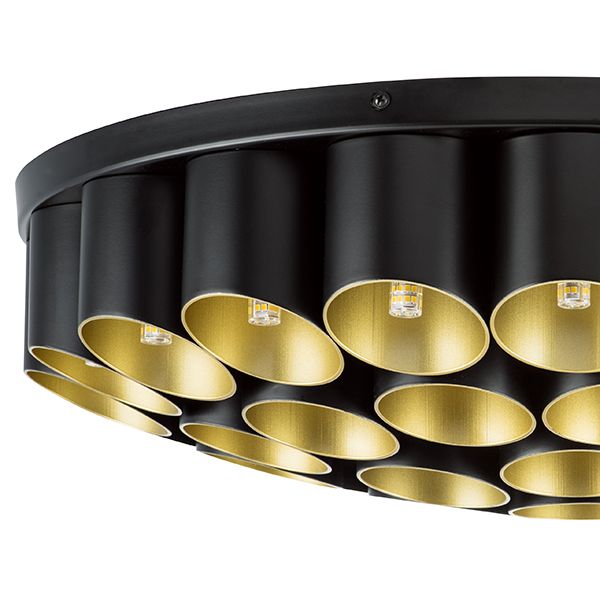 Siena Lightstar
