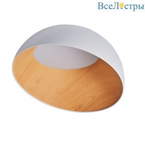Потолочный светильник Zortes Baum ZRS.01201.19