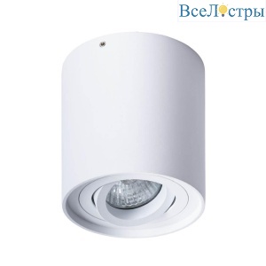Накладной светильник Arte Lamp Falcon A5645PL-1WH