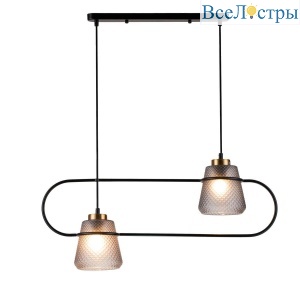 Подвесной светильник Indigo Astratto 11016/2P Black V000157