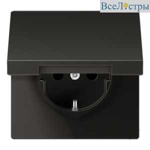 Розетка 2K+З с крышкой Jung AL1520KLAN