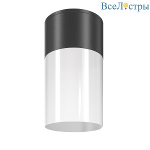 Уличный потолочный светильник Maytoni Willis O418CL-01B