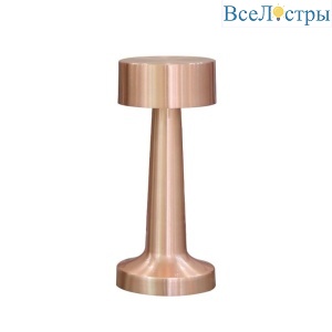 Настольная лампа Aployt Perrayn APL.671.04.01