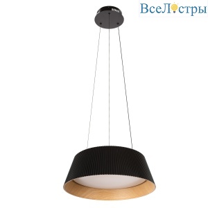 Подвесной светильник Loft IT Evans 10224P Black