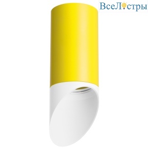 Накладной светильник Lightstar Rullo R43336 (214433+201436)