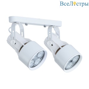 Спот Arte Lamp A6252PL-2WH