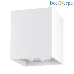 Потолочный светильник Ambrella light Techno Spot Cup TN213139