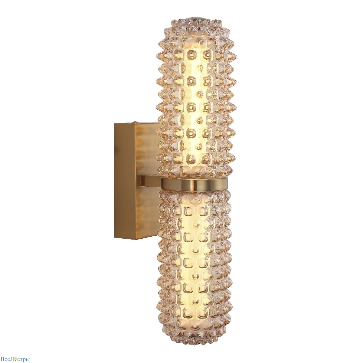 настенный светильник st luce saguaro sl6144.301.01