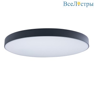 Потолочный светодиодный светильник Loft IT Axel 10002/48 black
