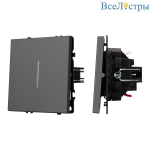 Механизм выключателя одноклавишный проходной Arlight LED SWT-NOBE-MKP1-SFPL-L-GR (230V, 10A) 054263