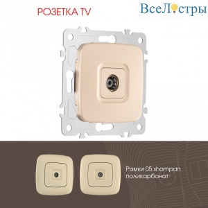 Розетка TV Arte Milano 205.43-1.shampan