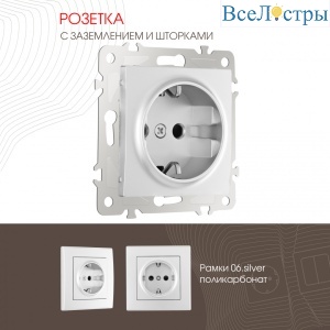 Розетка с заземлением и шторками Arte Milano 206.40-1.silver