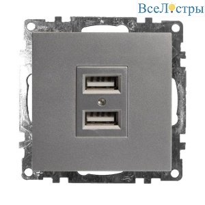 Розетка 2хUSB Stekker Катрин серебро GLS10-7115-03 39588