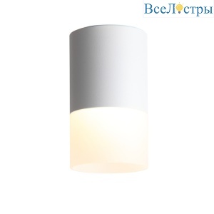 Накладной светильник ST Luce ST100.502.10