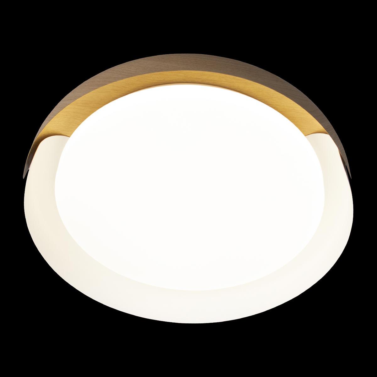 потолочный светодиодный светильник loft it coin 10198 white