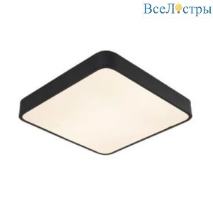 Потолочный светильник Arte Lamp A2663PL-1BK