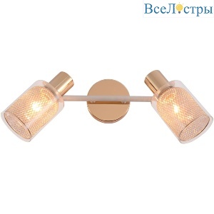 Спот Reluce 06125-3.8-02 WH+FGD