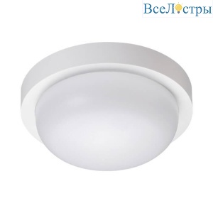 Уличный светодиодный светильник Novotech Street Opal 358014