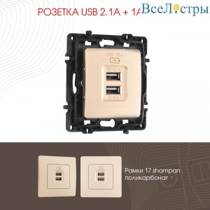 Розетка USB 2.1А+1А Arte Milano 217.46-1.shampan
