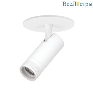 Встраиваемый светильник 20-55G с адаптером Lightstar Canno Pro C4126RS